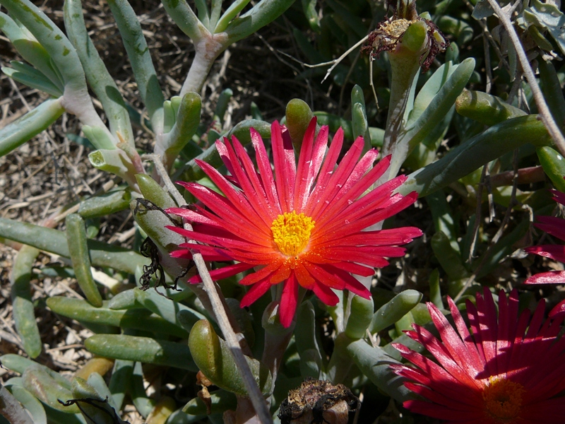 P1150567