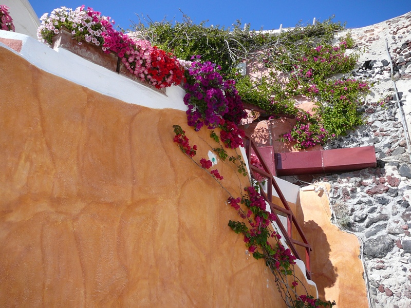 P1150573