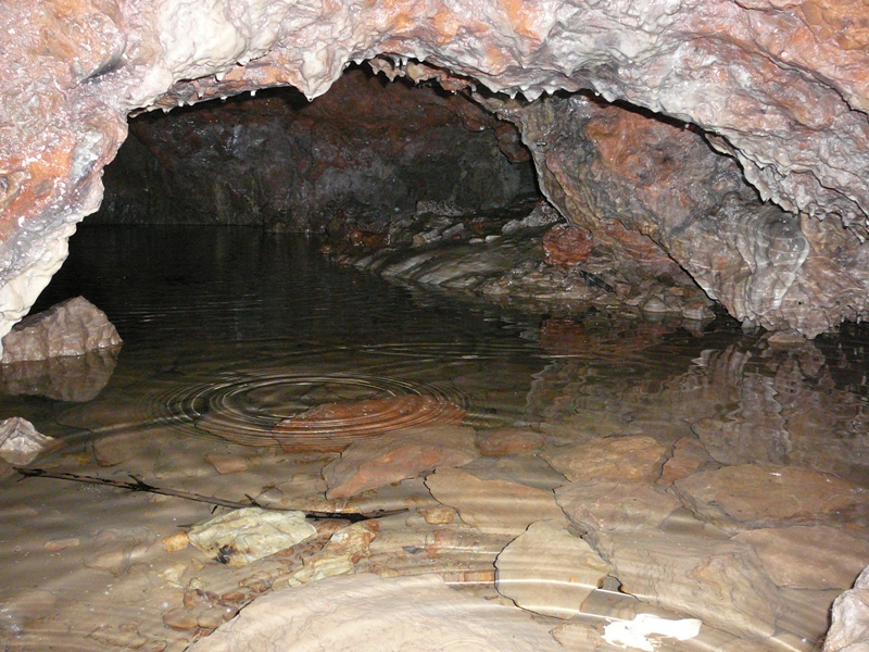 P1150721