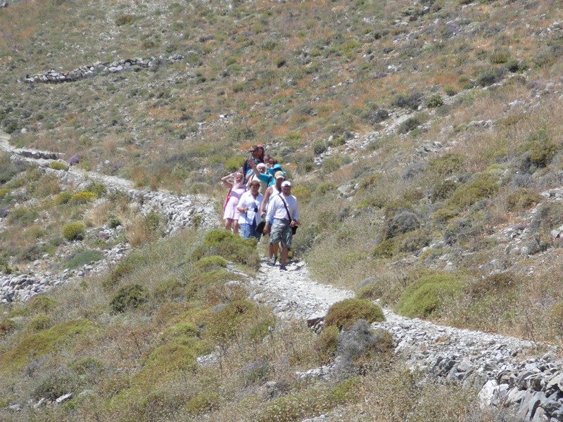 P1150809