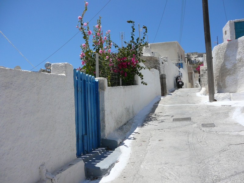 P1150909