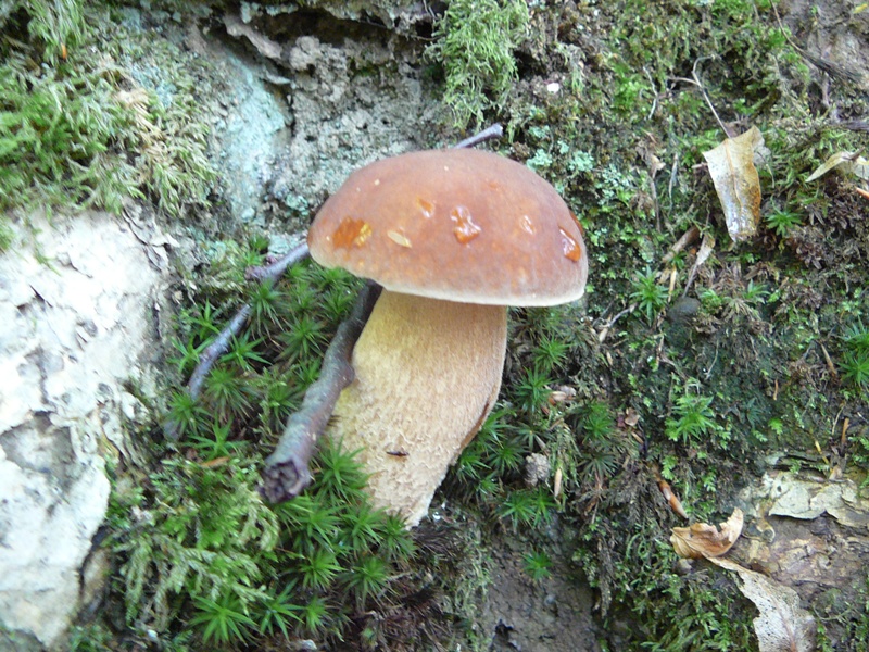 P1160439