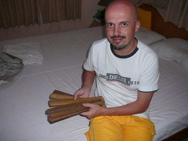Svazek palmových listů