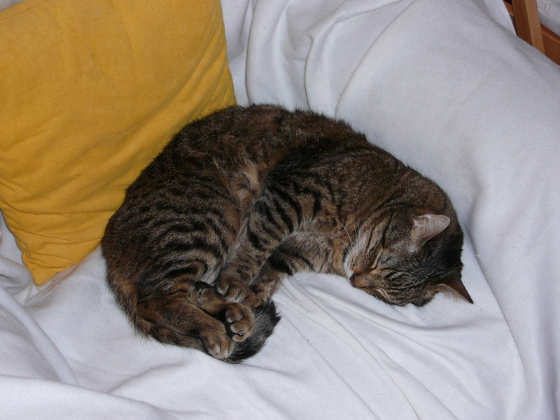 P1070453.JPG
