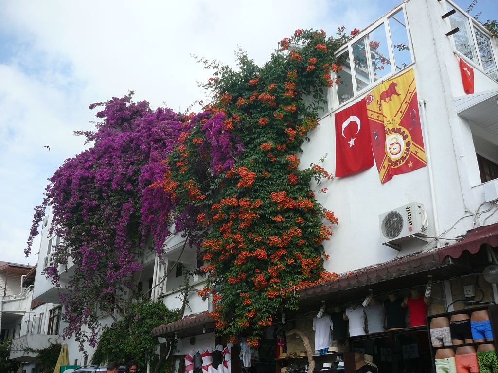 P1210294